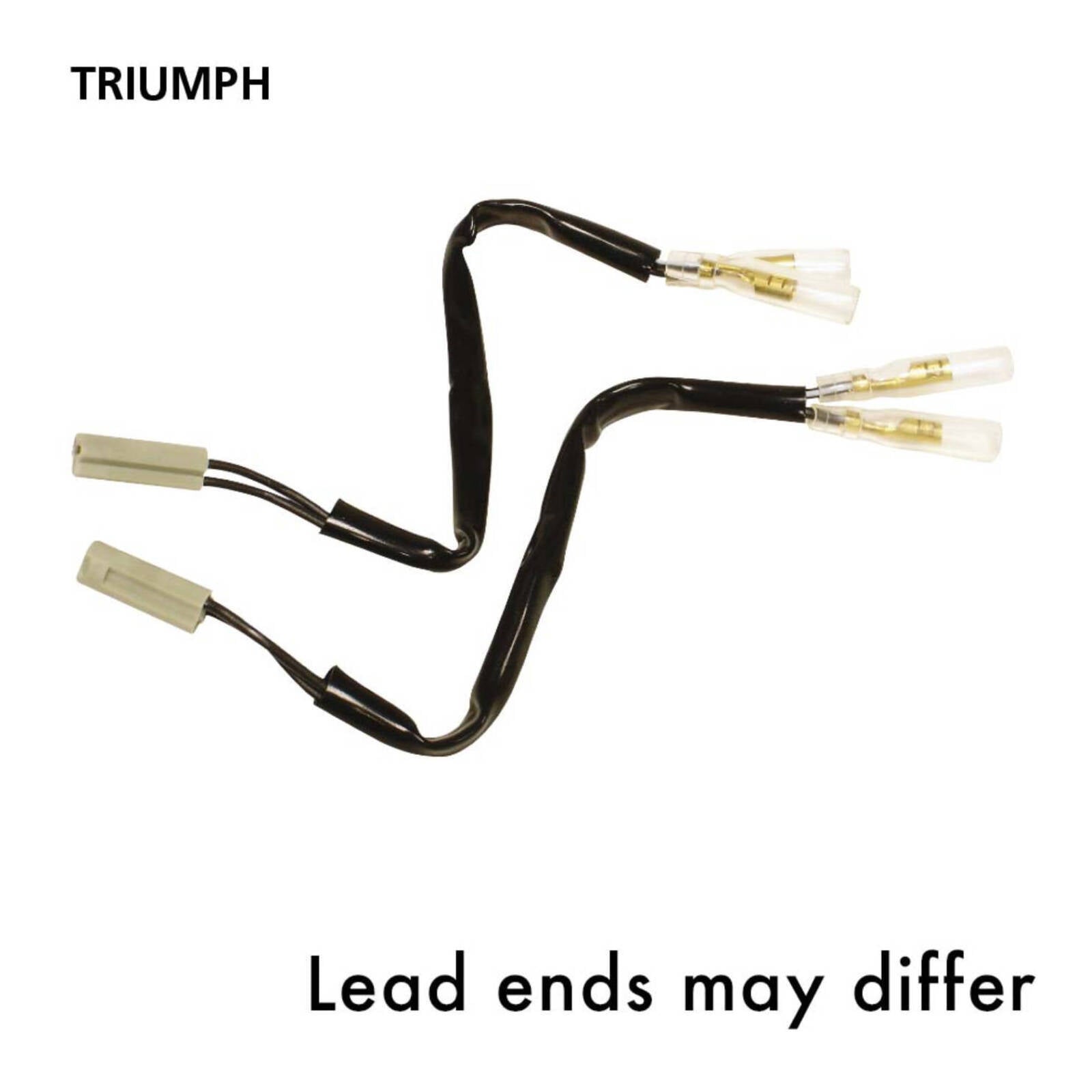 Oxford Indicator Leads Triumph